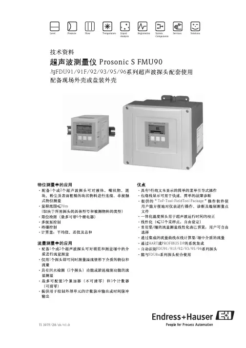 E+H 分体式超声波液位计FMU90
