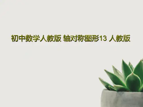 初中数学人教版 轴对称图形13 人教版PPT文档31页