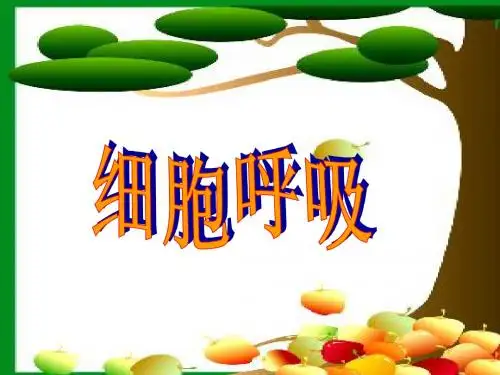 人教版教学课件云南省弥勒县庆来中学2011-2012学年高一生物 细胞呼吸6(课件)