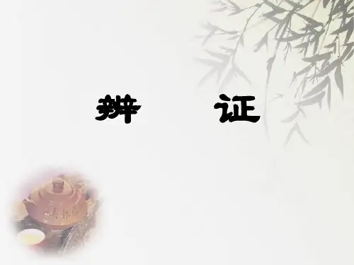 中医护理-八纲辨证