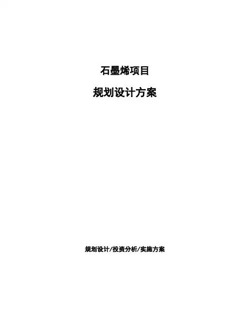 石墨烯项目规划设计方案 (1)