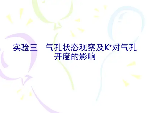 实验3_光和K__对气孔运动的调节解析