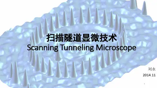 扫描隧道显微镜  ppt课件