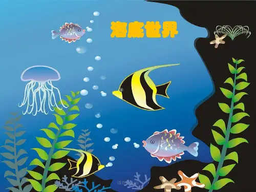 幼儿园:综合各种各样的鱼课件