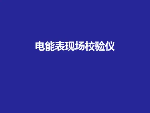 4.电能表现场校验仪