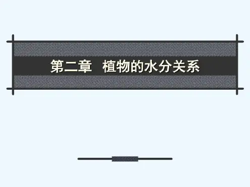 植物生理学2植物水分关系