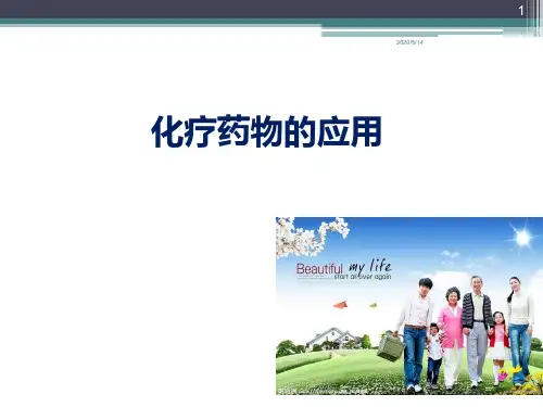 化疗药物的应用 PPT课件
