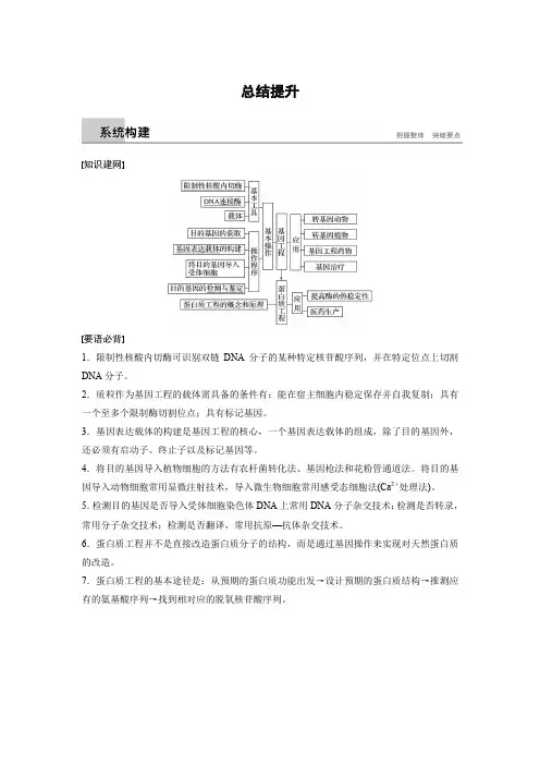 高三基因工程复习知识点及例题