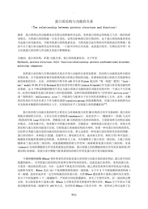 蛋白质结构与功能的关系94592