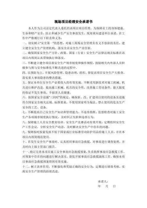 项目负责人负责人安全承诺书