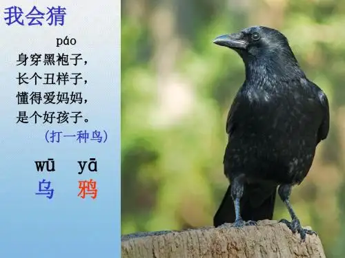乌鸦喝水----苏家院镇示范小学