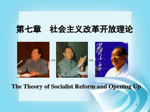第七章_社会主义改革开放理论(最新版)