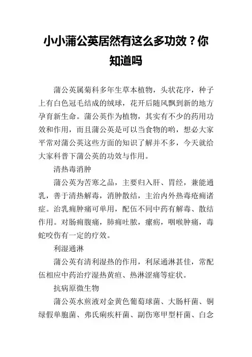 小小蒲公英居然有这么多功效？你知道吗