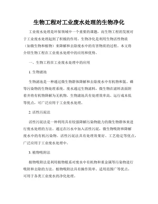 生物工程对工业废水处理的生物净化