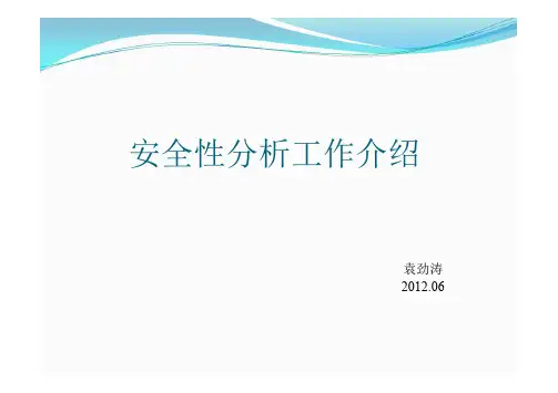 安全性分析
