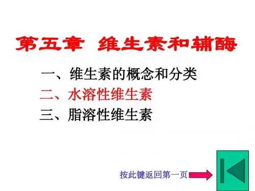第五章 维生素和辅酶