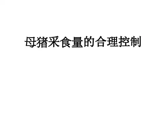 母猪的采食量及体型控制