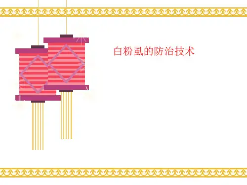 白粉虱讲义的防治技术