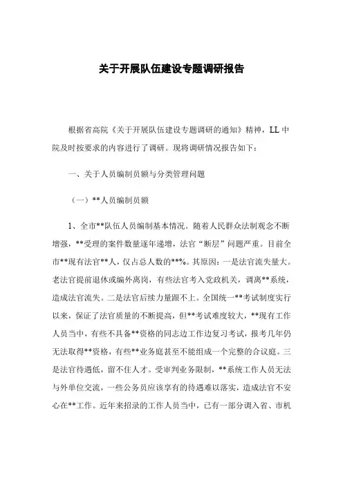 关于开展队伍建设专题调研报告