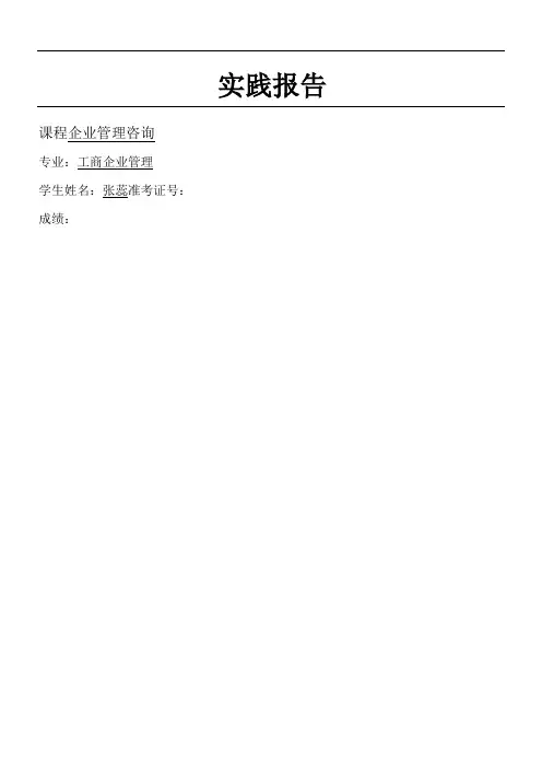 企业管理咨询实践报告