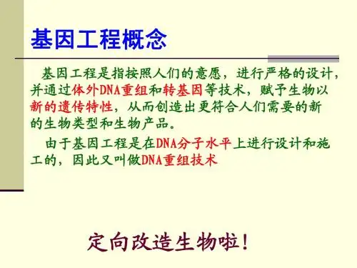 选修三满分课件3