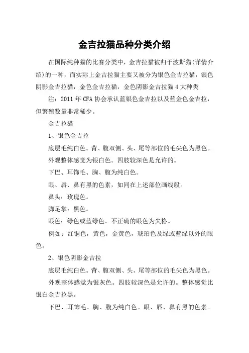 金吉拉猫品种分类介绍