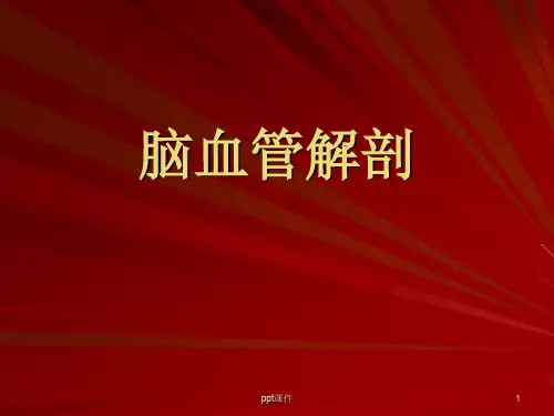 脑血管解剖图  ppt课件