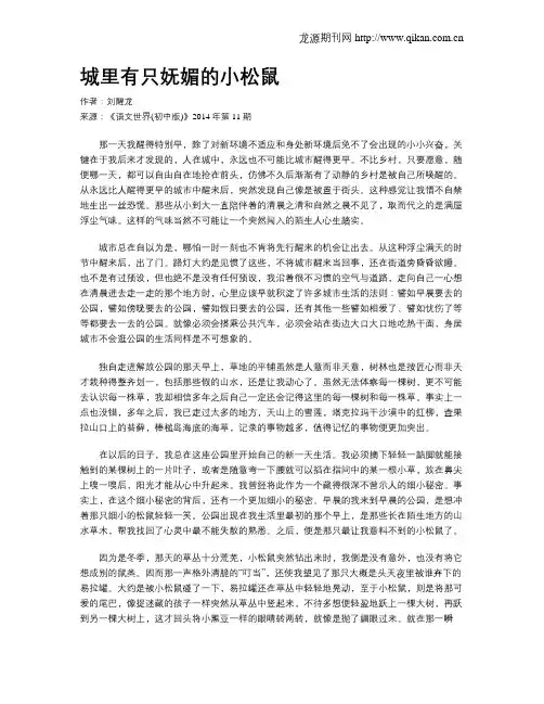 城里有只妩媚的小松鼠