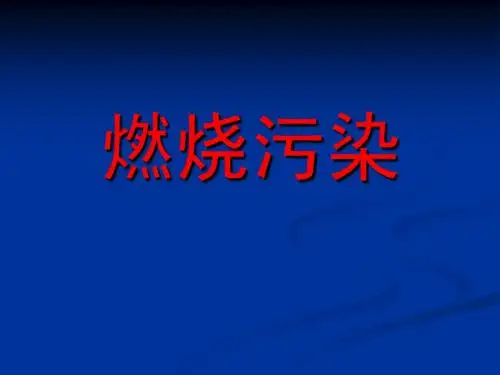 《燃烧技术》新燃烧污染3