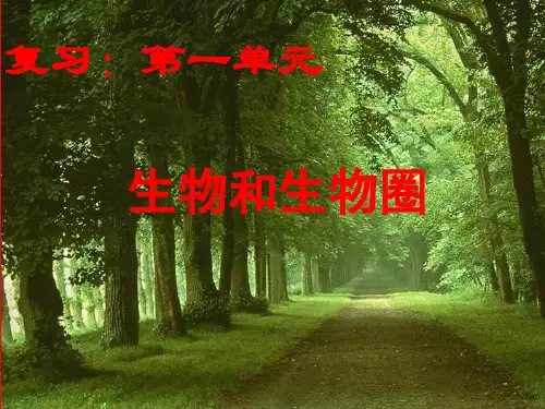 人教版生物总复习七年级生物上册：第一单元复习课件