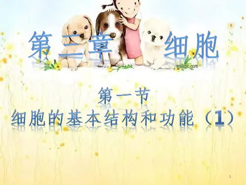细胞的基本结构和功能