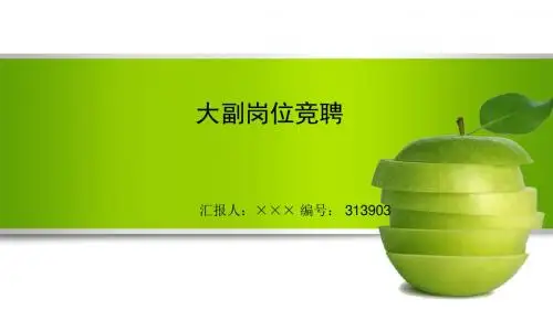 最新大副岗位竞聘演讲稿PPT模板