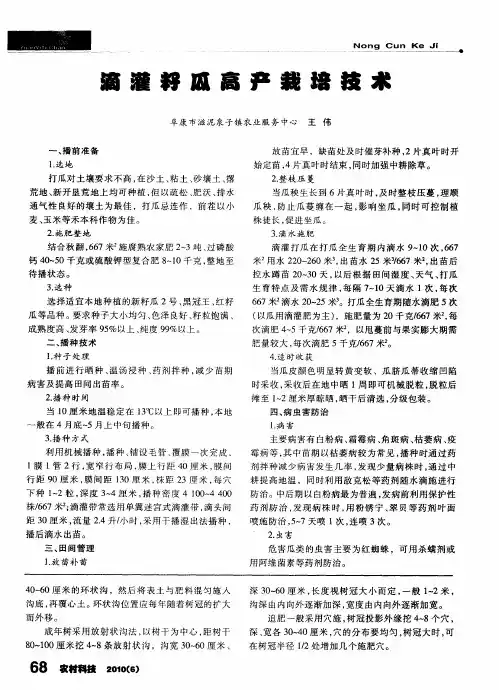 滴灌籽瓜高产栽培技术