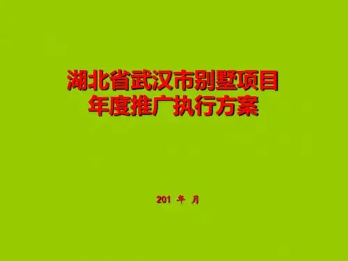 湖北省武汉市别墅项目年度推广执行方案