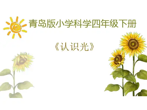 四年级科学《认识光》优质说课课件