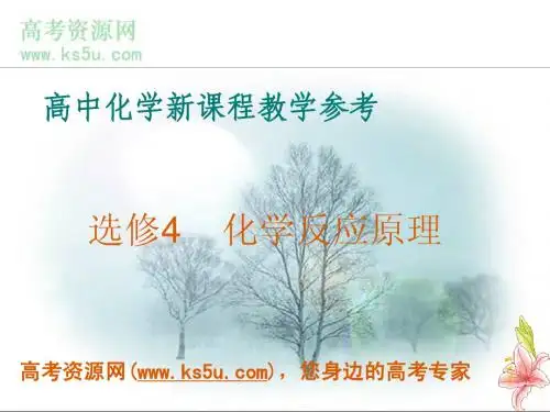 化学:《高中化学新课程教学参考——化学反应原理》课件(苏教版选修4)
