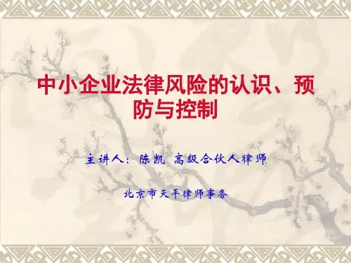 中小企业法律风险的认识与防范(精)