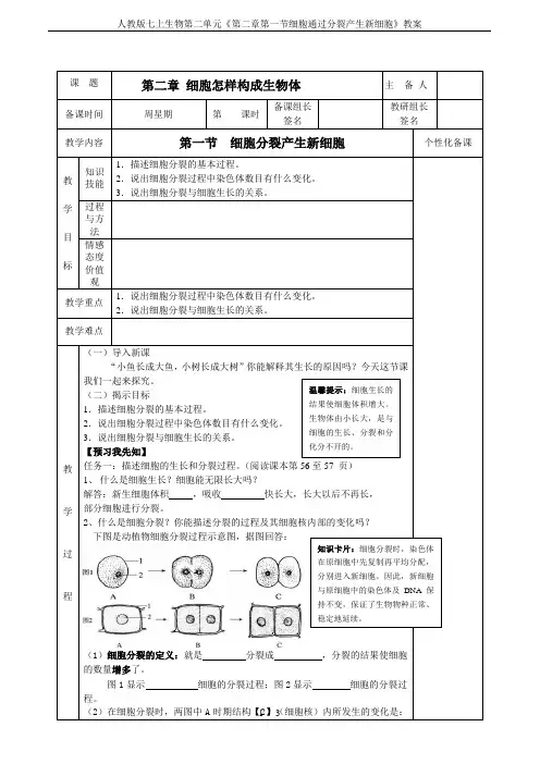 人教版七上生物第二单元《第二章第一节细胞通过分裂产生新细胞》教案