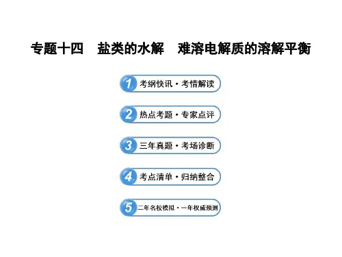 专题十四 盐类的水解 难溶电解质的溶解平衡