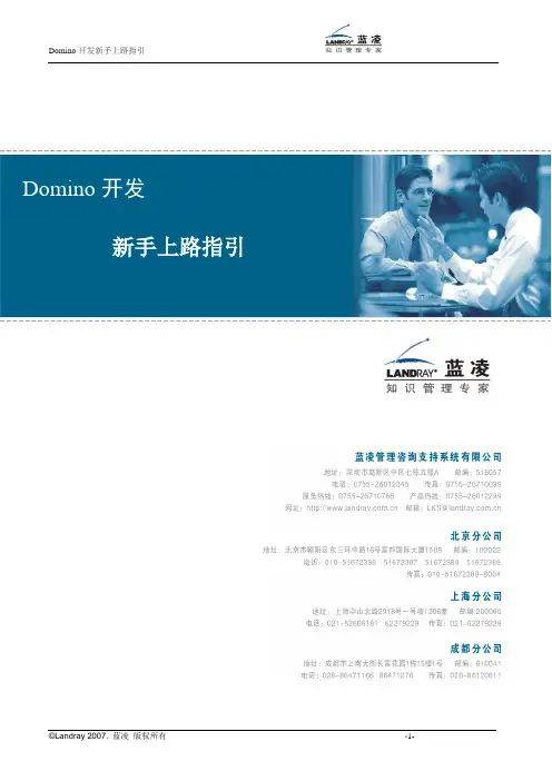 Domino开发新手上路指引