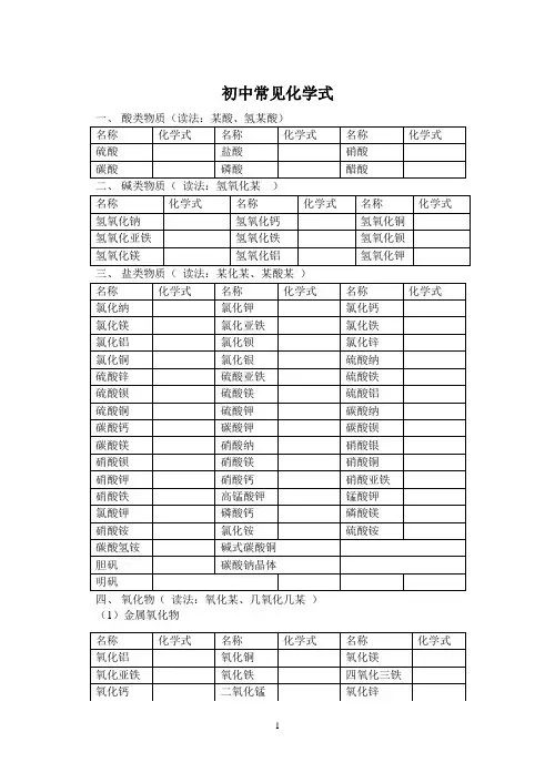 初中常见化学式