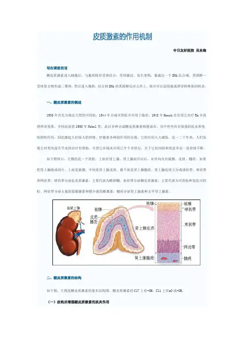 皮质激素的作用机制 (1)