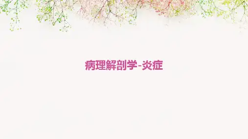 病理解剖学-炎症