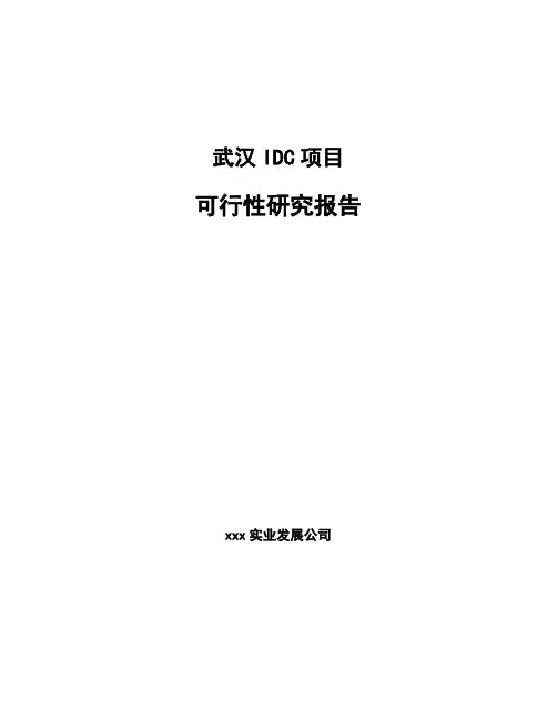 武汉IDC项目可行性研究报告