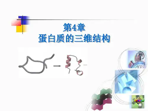 生物化学:第4章 蛋白质的三维结构