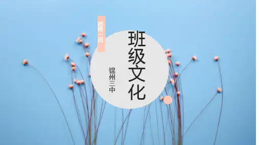 班级文化建设介绍(高质量)