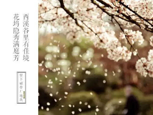 杭州绿城·西溪云庐留下磁带厂地块顶级豪宅项目(中式别墅合院+现代叠拼 容积率1) 杭州九米