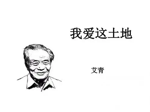 我爱这土地
