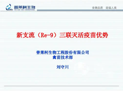 新支流(Re-9)三联灭活疫苗优势