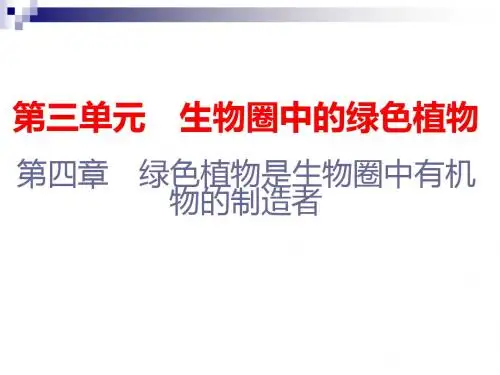 七年级生物上册第三单元第四章绿色植物是生物圈中有机物的制造者课件(新版)新人教版4